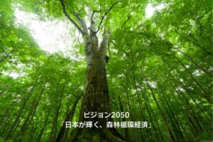  『森林循環経済』編集部の写真