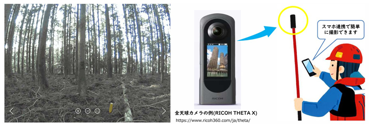 手軽に、正確に、森林を測る技術革新 市販の全天球カメラを活用した