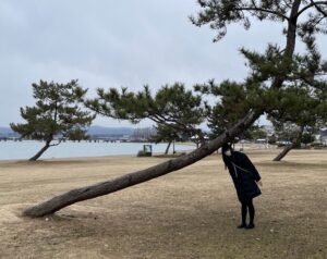 田鶴 寿弥子の写真